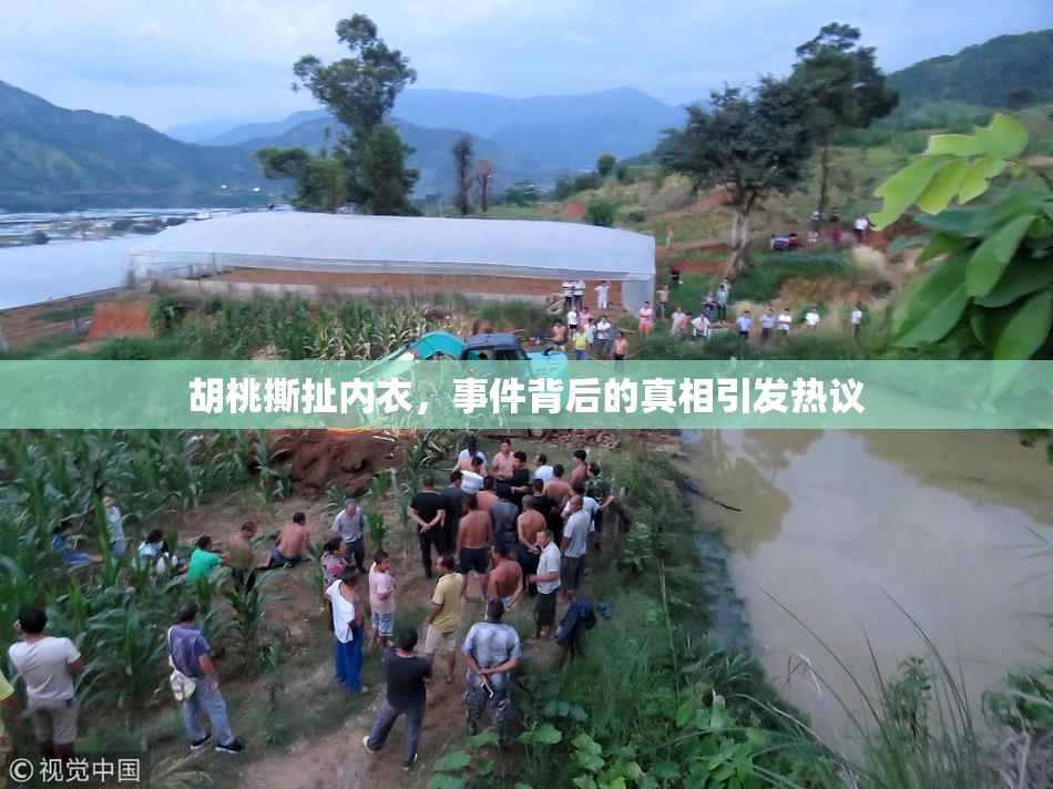 胡桃撕扯内衣，事件背后的真相引发热议