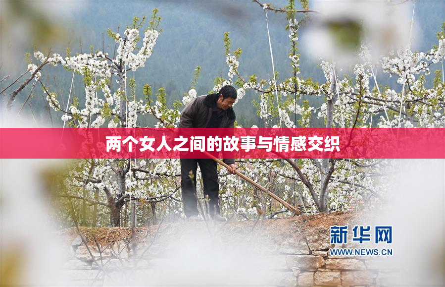 两个女人之间的故事与情感交织