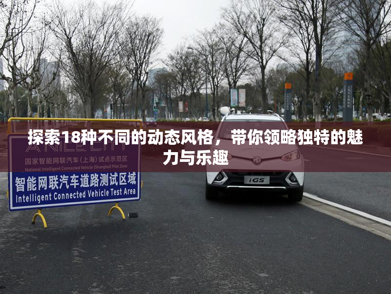 探索18种不同的动态风格，带你领略独特的魅力与乐趣