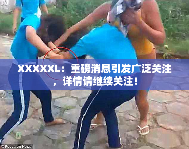 XXXXXL：重磅消息引发广泛关注，详情请继续关注！