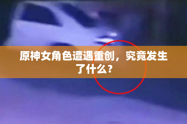 原神女角色遭遇重创，究竟发生了什么？