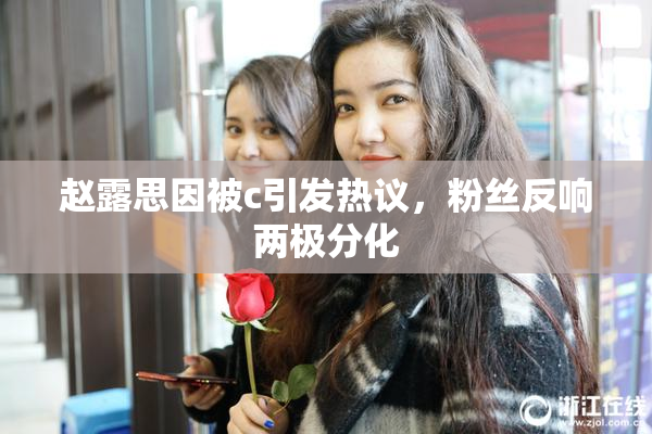 赵露思因被c引发热议，粉丝反响两极分化