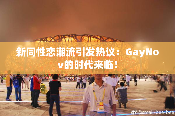 新同性恋潮流引发热议：GayNov的时代来临！