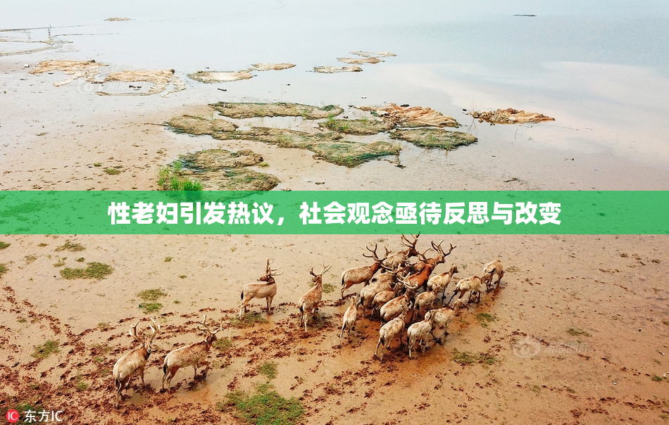 性老妇引发热议，社会观念亟待反思与改变