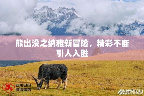 熊出没之纳雅新冒险，精彩不断引人入胜