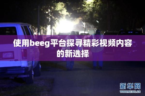 使用beeg平台探寻精彩视频内容的新选择
