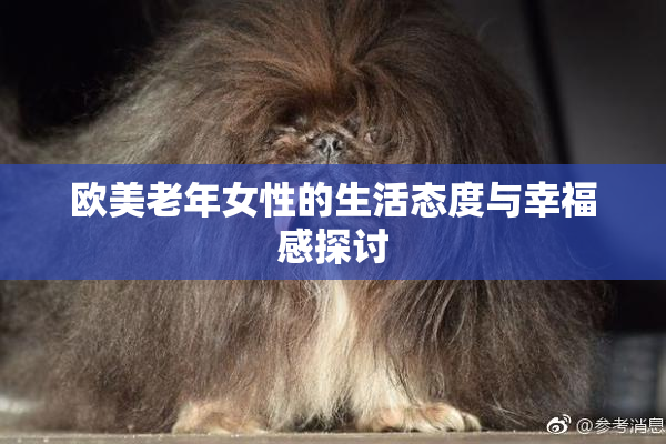 欧美老年女性的生活态度与幸福感探讨