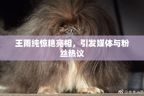 王雨纯惊艳亮相，引发媒体与粉丝热议