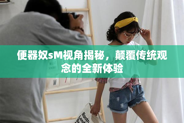 便器奴sM视角揭秘，颠覆传统观念的全新体验