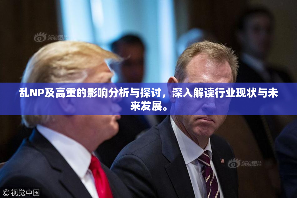 乱NP及高重的影响分析与探讨，深入解读行业现状与未来发展。