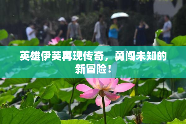 英雄伊芙再现传奇，勇闯未知的新冒险！
