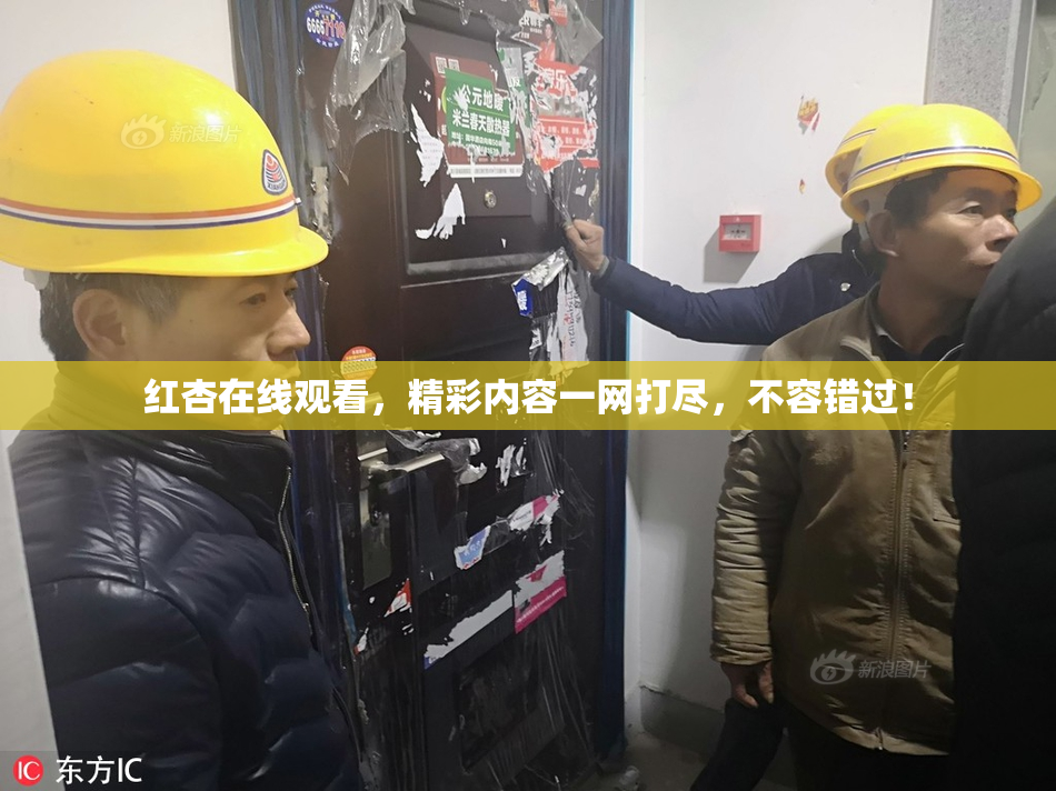 红杏在线观看，精彩内容一网打尽，不容错过！