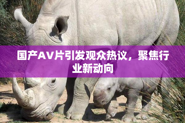 国产AV片引发观众热议，聚焦行业新动向