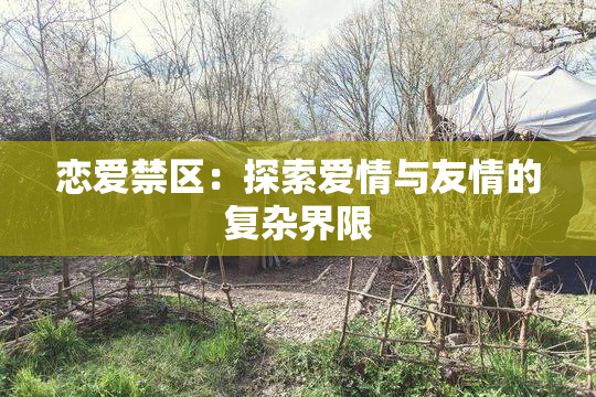 恋爱禁区：探索爱情与友情的复杂界限