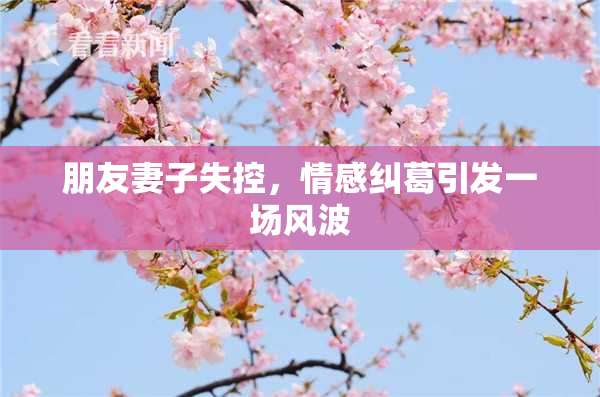 朋友妻子失控，情感纠葛引发一场风波