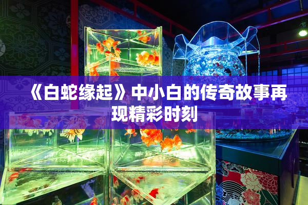 《白蛇缘起》中小白的传奇故事再现精彩时刻