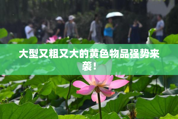 大型又粗又大的黄色物品强势来袭！