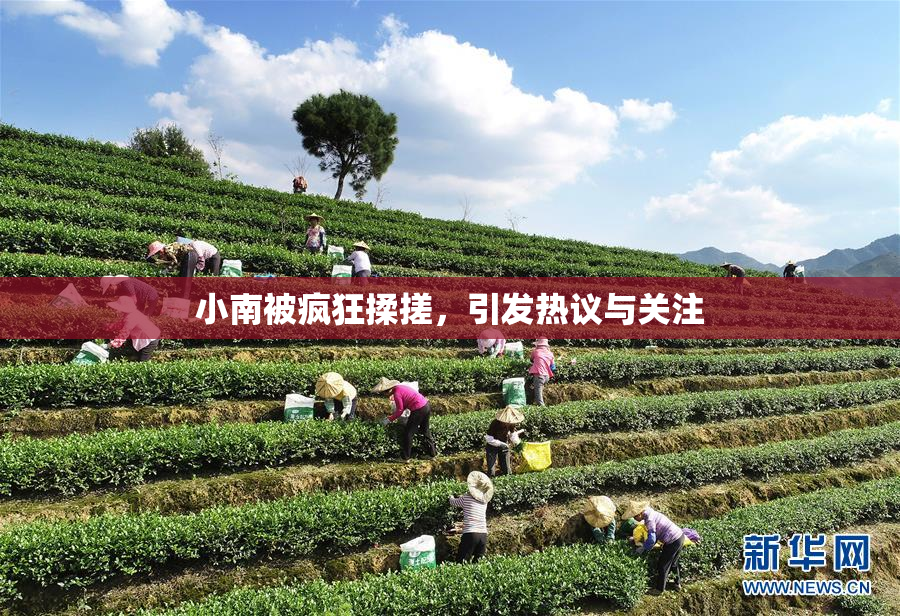 小南被疯狂揉搓，引发热议与关注