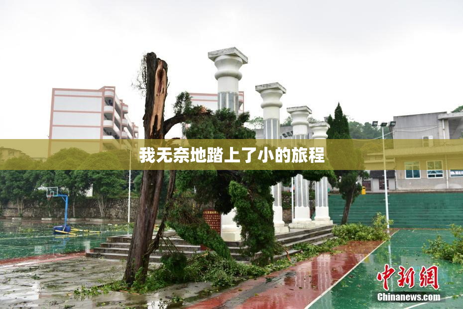 我无奈地踏上了小的旅程