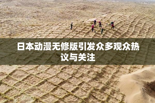 日本动漫无修版引发众多观众热议与关注