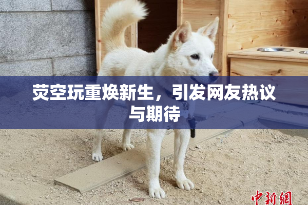 荧空玩重焕新生，引发网友热议与期待