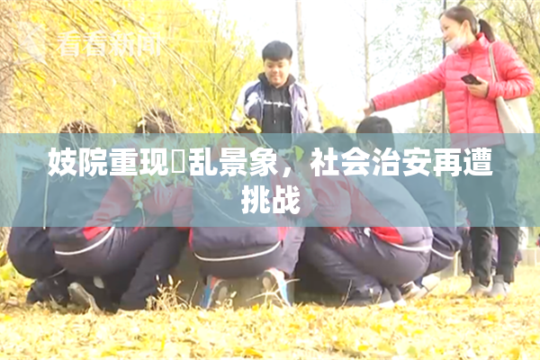 妓院重现婬乱景象，社会治安再遭挑战