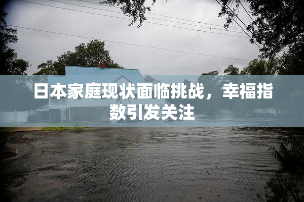 日本家庭现状面临挑战，幸福指数引发关注