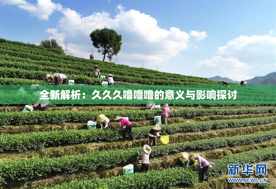 全新解析：久久久噜噜噜的意义与影响探讨