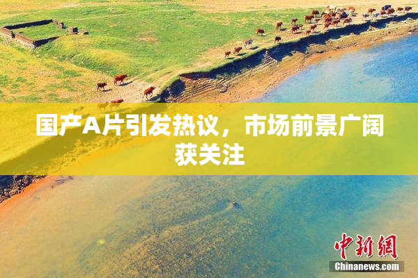 国产A片引发热议，市场前景广阔获关注