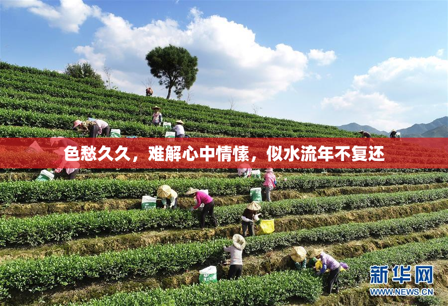 色愁久久，难解心中情愫，似水流年不复还
