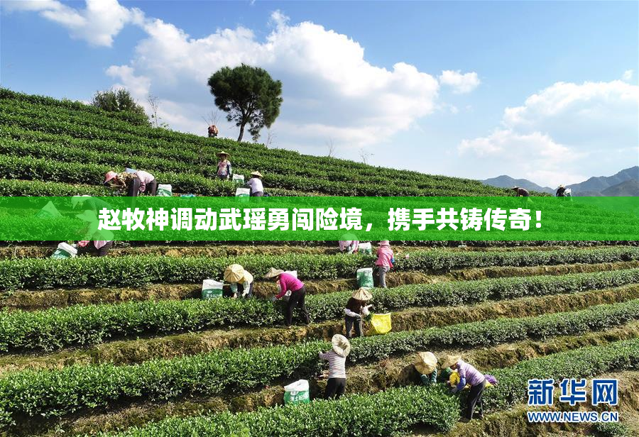赵牧神调动武瑶勇闯险境，携手共铸传奇！