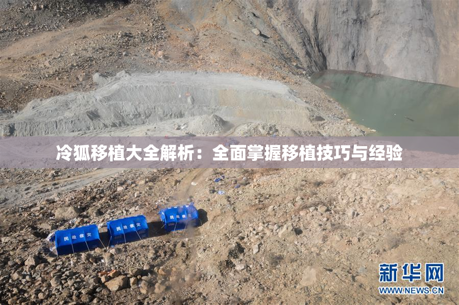冷狐移植大全解析：全面掌握移植技巧与经验