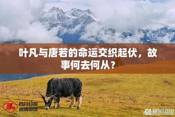 叶凡与唐若的命运交织起伏，故事何去何从？