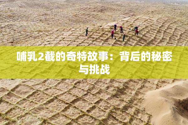 哺乳2截的奇特故事：背后的秘密与挑战