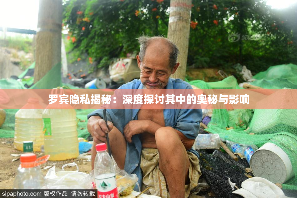 罗宾隐私揭秘：深度探讨其中的奥秘与影响