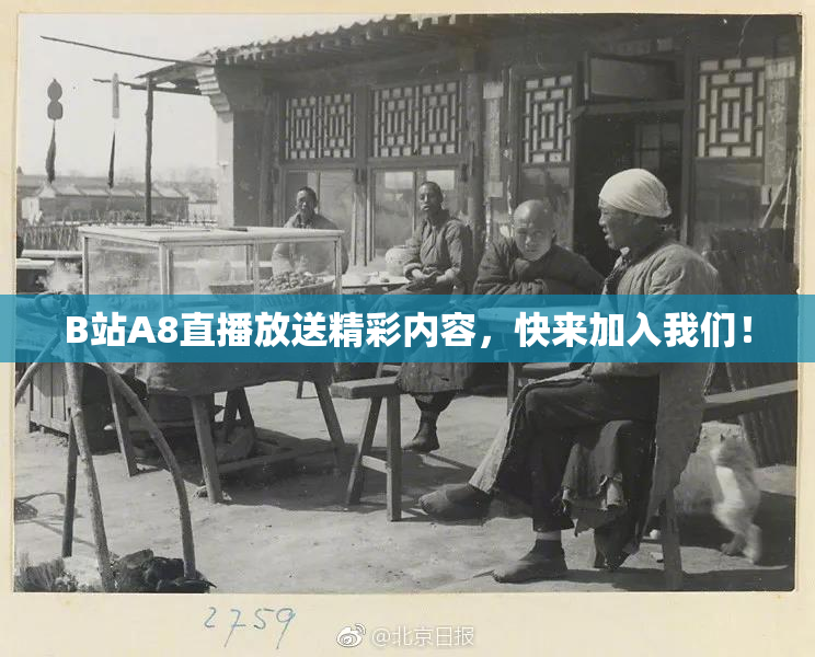B站A8直播放送精彩内容，快来加入我们！