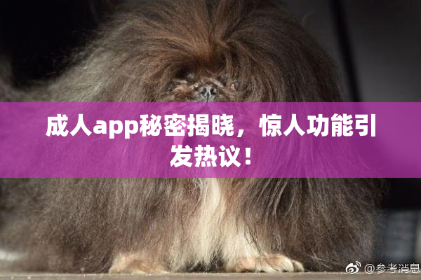 成人app秘密揭晓，惊人功能引发热议！