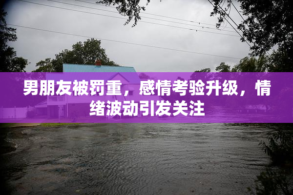 男朋友被罚重，感情考验升级，情绪波动引发关注