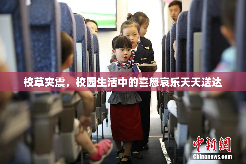 校草夹震，校园生活中的喜怒哀乐天天送达