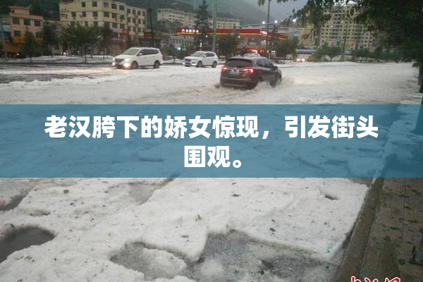 老汉胯下的娇女惊现，引发街头围观。