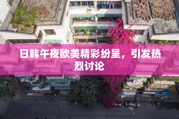 日韩午夜欧美精彩纷呈，引发热烈讨论