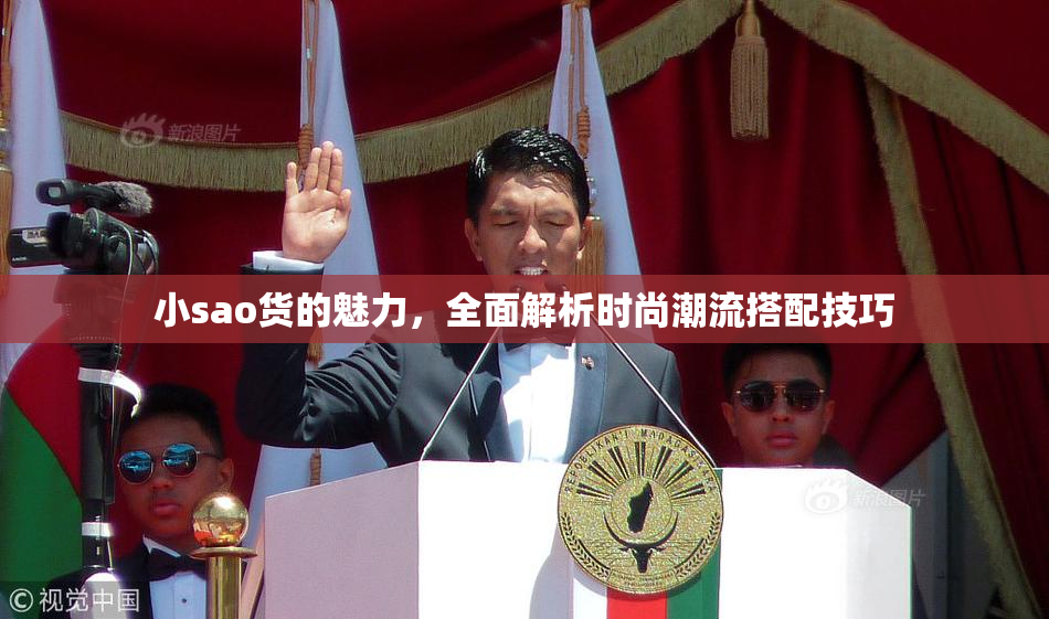 小sao货的魅力，全面解析时尚潮流搭配技巧