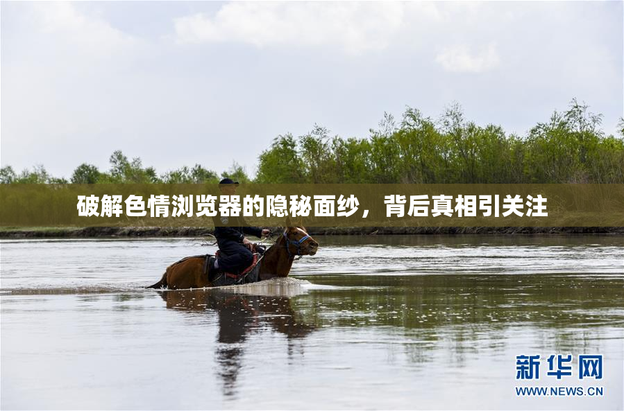 破解色情浏览器的隐秘面纱，背后真相引关注