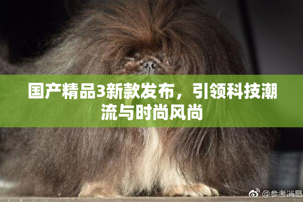 国产精品3新款发布，引领科技潮流与时尚风尚