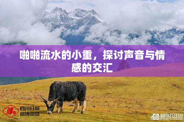 啪啪流水的小重，探讨声音与情感的交汇