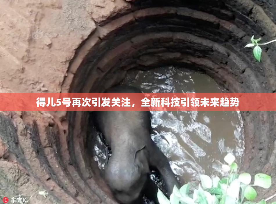 得儿5号再次引发关注，全新科技引领未来趋势