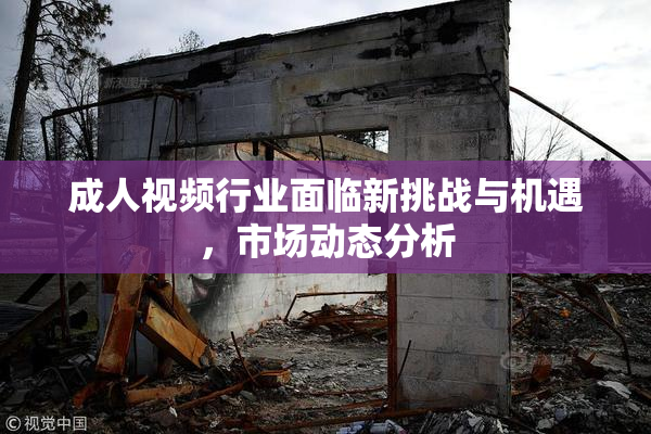 成人视频行业面临新挑战与机遇，市场动态分析