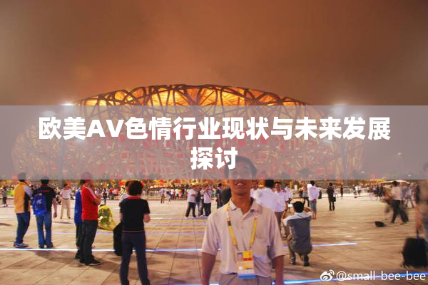 欧美AV色情行业现状与未来发展探讨