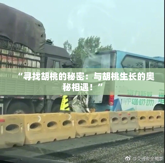 “寻找胡桃的秘密：与胡桃生长的奥秘相遇！”
