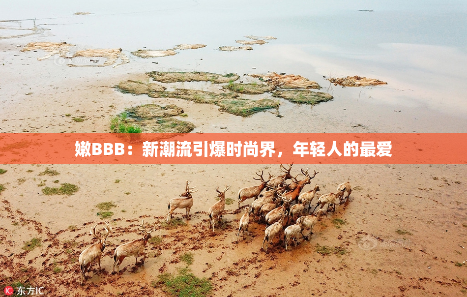 嫩BBB：新潮流引爆时尚界，年轻人的最爱